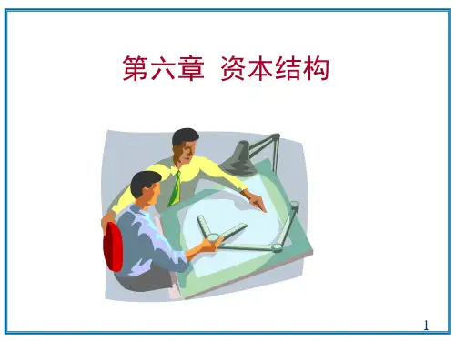资本结构概述(ppt 30页)