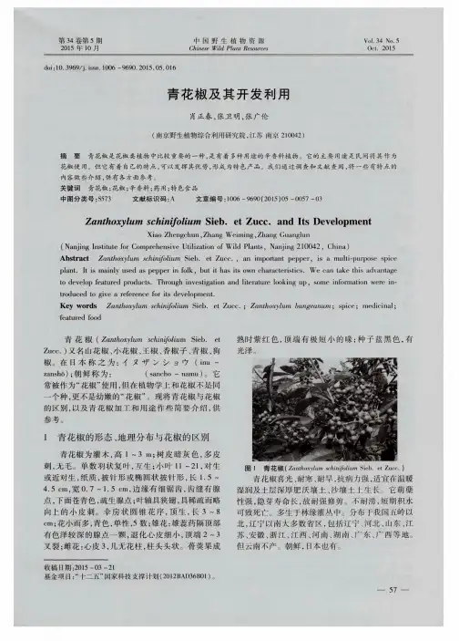 青花椒及其开发利用
