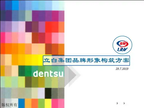 立白品牌建设方案(PPT128页)