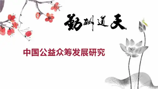 中国公益众筹发展研究