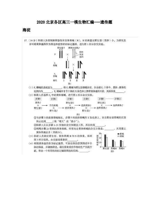 2020北京各区高三一模生物汇编---遗传题(含答案)