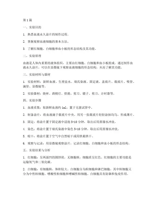 血液永久涂片实验报告(3篇)