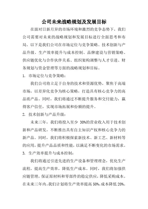 公司未来战略规划及发展目标