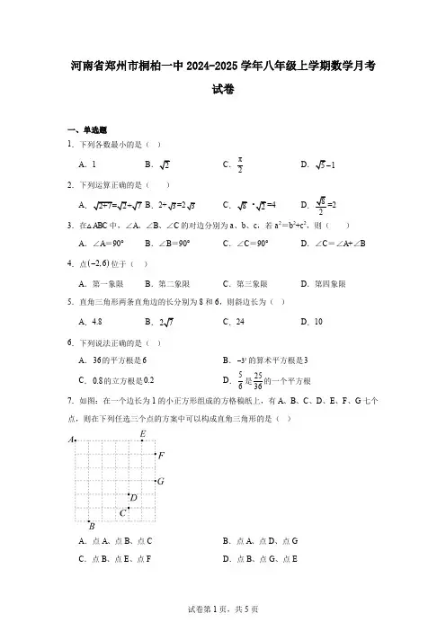 河南省郑州市桐柏一中2024-2025学年八年级上学期数学月考试卷