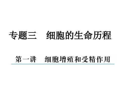 生物二轮复习 细胞增殖与受精作用课件