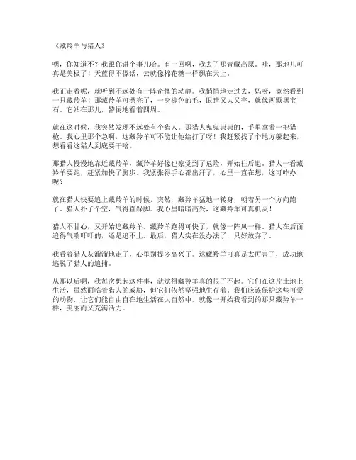 《藏羚羊与猎人》