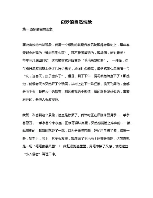 作文《奇妙的自然现象》