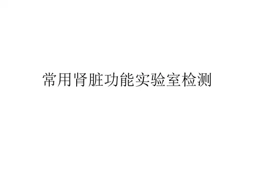 常用肾脏功能实验室检测