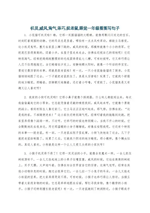 机灵,威风,淘气,乖巧,捉老鼠,睡觉一年级看图写句子