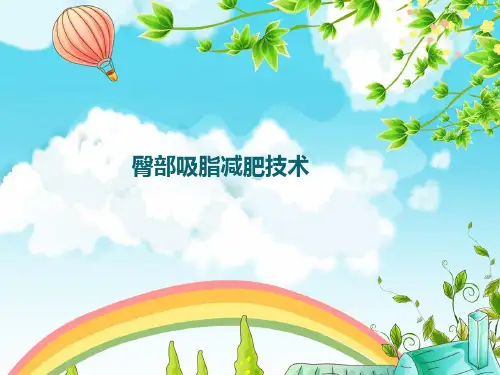 臀部吸脂减肥技术  ppt课件
