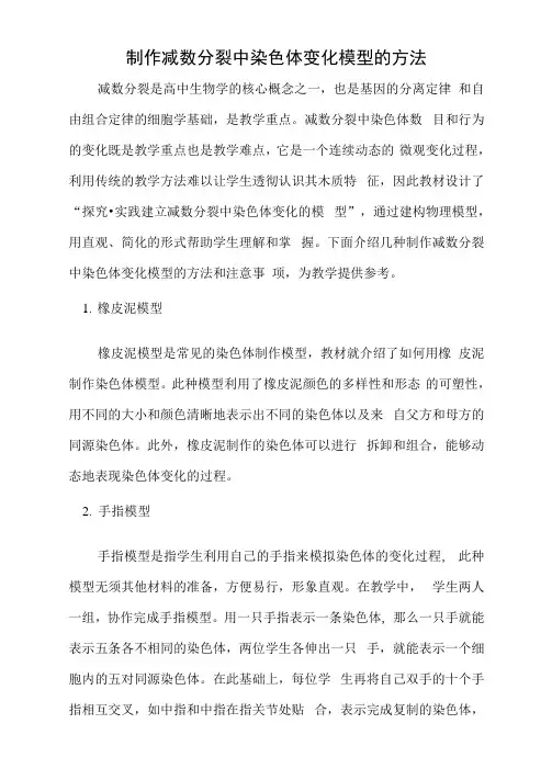 制作减数分裂中染色体变化模型的方法
