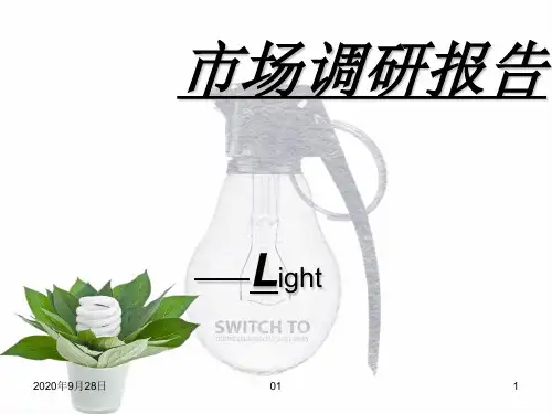 灯具调研报告PPT课件