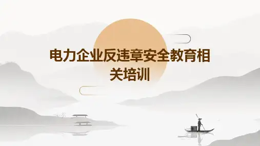 电力企业反违章安全教育相关培训