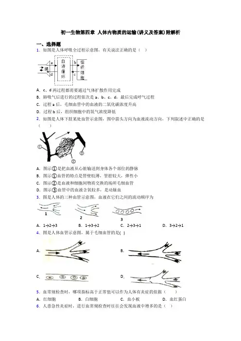 初一生物第四章 人体内物质的运输(讲义及答案)附解析
