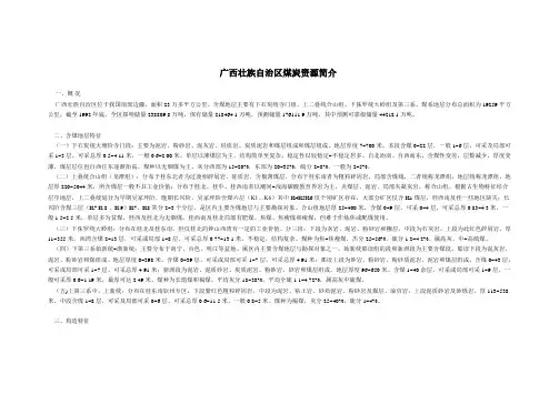 广西壮族自治区煤炭资源简介
