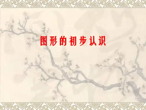 七年级数学图形的初步认识