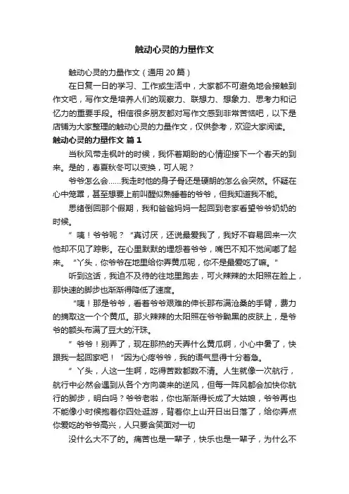 触动心灵的力量作文 3
