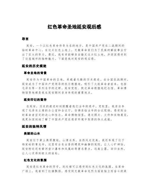 红色革命圣地延安观后感