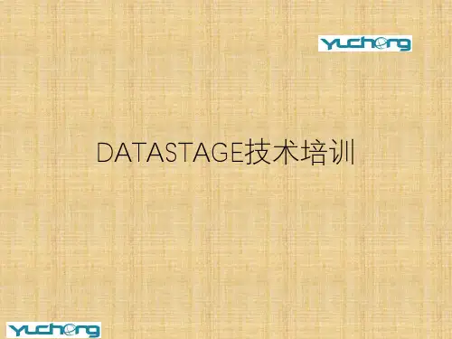 DATASTAGE技术培训-经典收藏