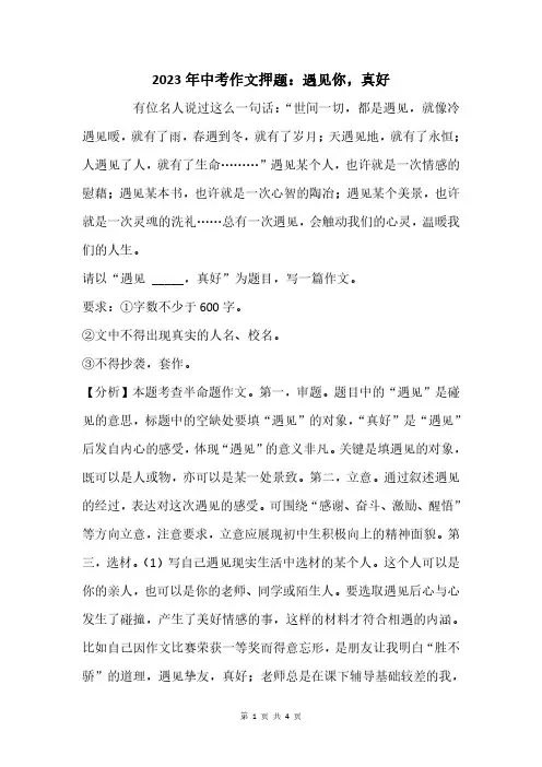 2023年中考作文押题：遇见你,真好