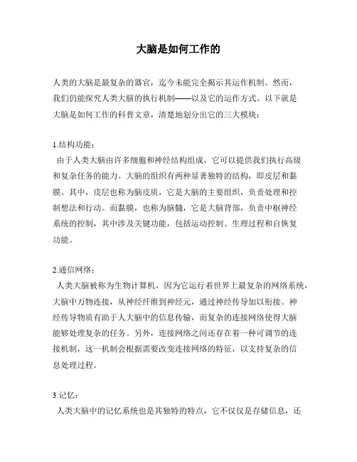 大脑是如何工作的