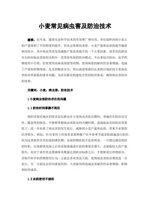 小麦常见病虫害及防治技术 2