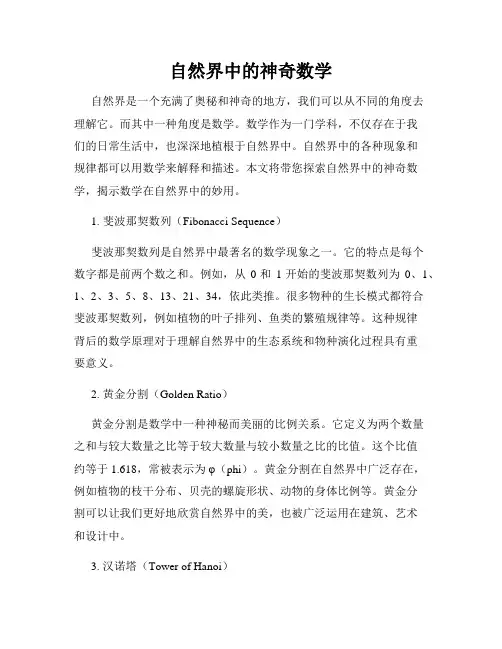 自然界中的神奇数学