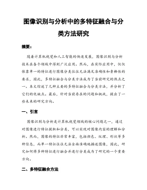 图像识别与分析中的多特征融合与分类方法研究