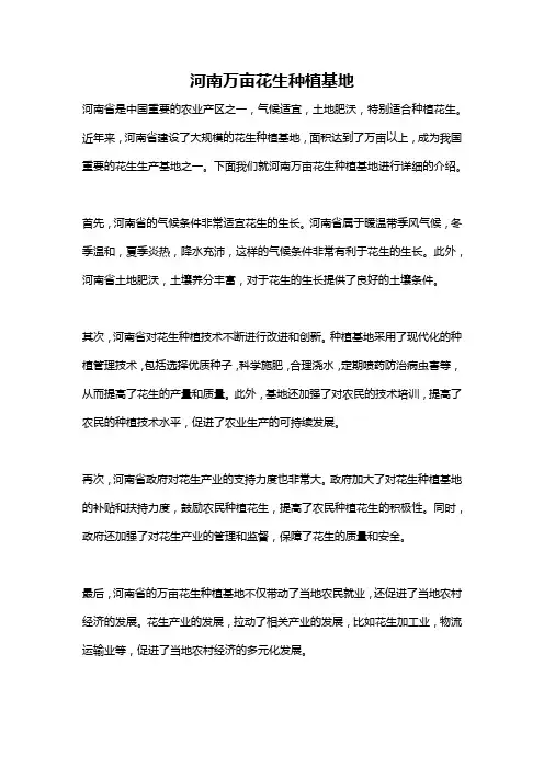河南万亩花生种植基地