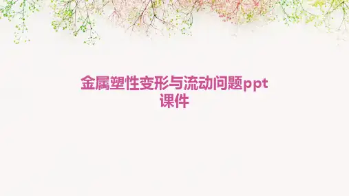 金属塑性变形与流动问题PPT课件
