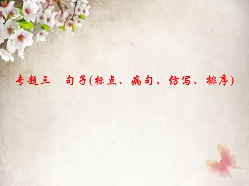 七年级语文下册专题三 句子(标点、病句、仿写、排序)