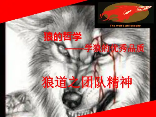 狼道之团队精神