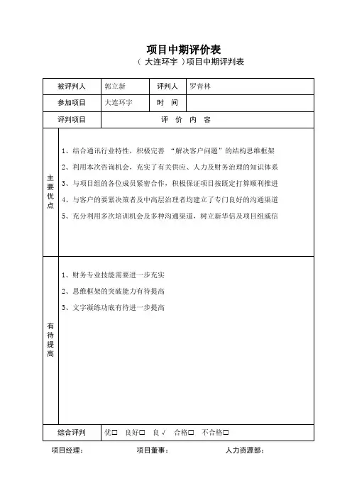 项目中期评价表