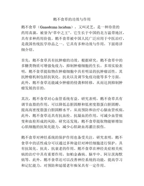 鹅不食草的功效与作用