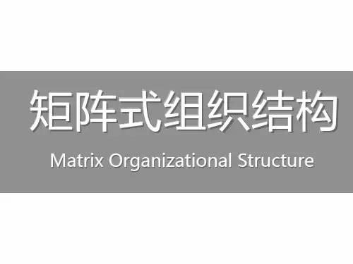矩阵制组织结构讲解