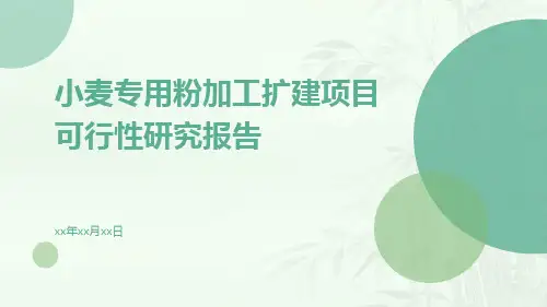 小麦专用粉加工扩建项目可行性研究报告