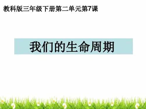 最新教科版科学三年级下册《我们的生命周期》精品课件