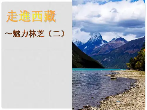 山东省临沭县第三初级中学初中音乐 走进西藏课件