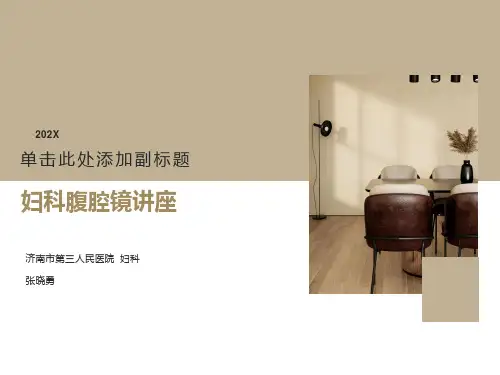 妇科腹腔镜讲座
