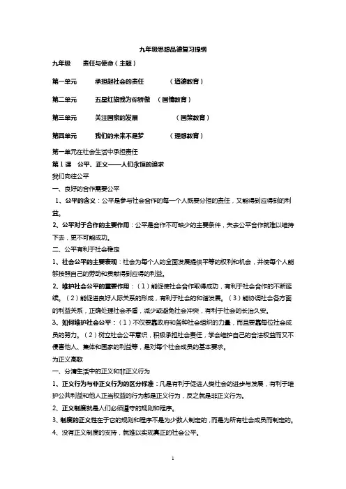 鲁教版九年级政治复习提纲