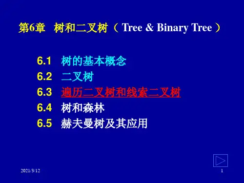 树转为二叉树的方法：PPT课件