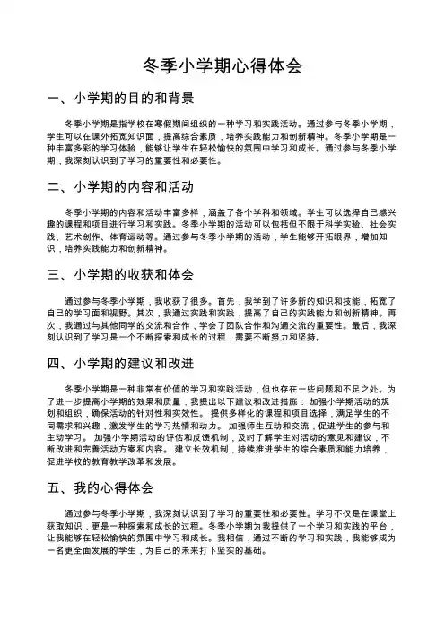 冬季小学期心得体会