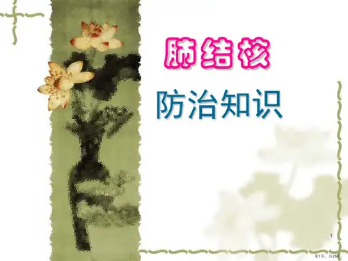结核病防治知识PPT课件
