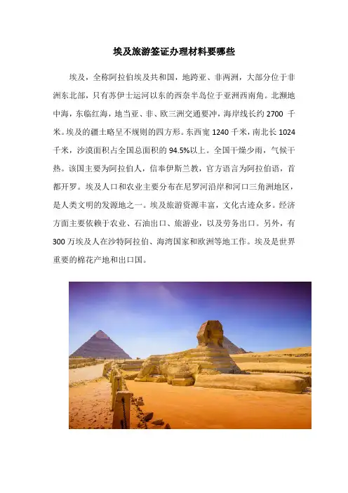 埃及旅游签证解决材料要何处些