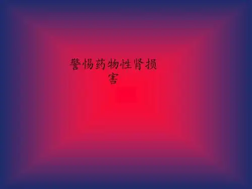 警惕药物性肾损害PPT课件