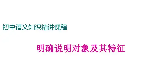 明确说明对象及其特征-概括说明对象特征的方法