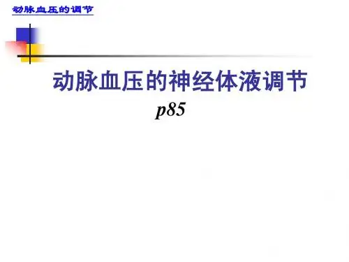 (实验1)动脉血压的调节
