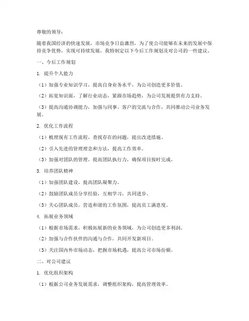 今后工作规划及对公司建议