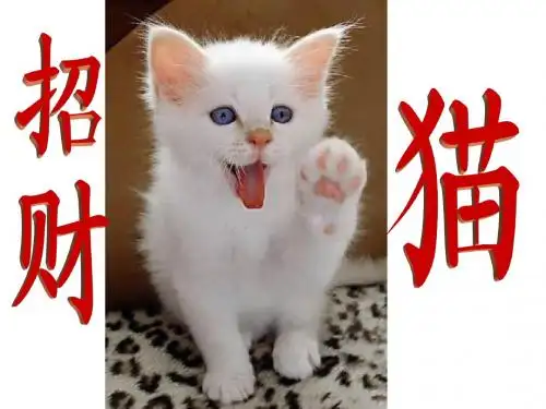 5502招财猫  演示文稿1