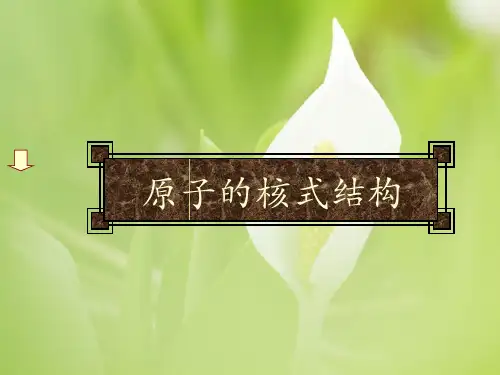 原子的核式结构PPT教学课件